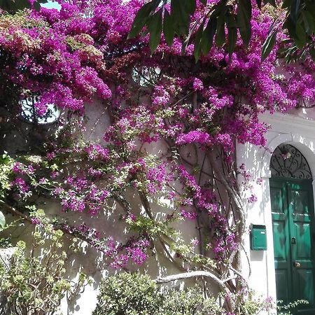 Il Gelso Apartment Anacapri  Exterior foto