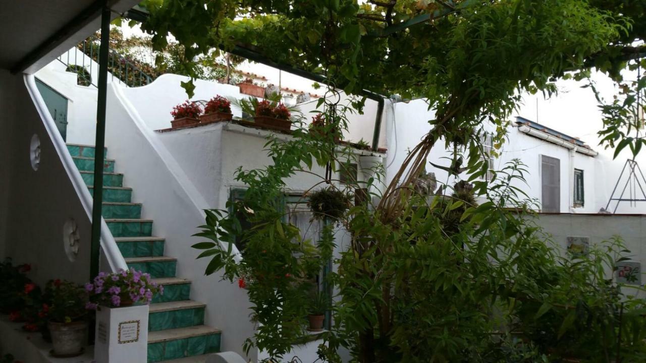 Il Gelso Apartment Anacapri  Exterior foto